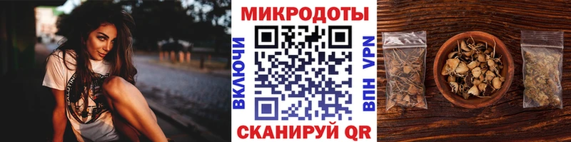 Галлюциногенные грибы Psilocybe  Купить  Гдов 