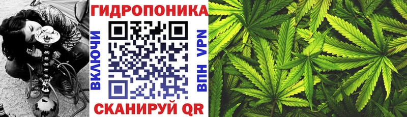 МАРИХУАНА гибрид  Купить закладки  Гдов 